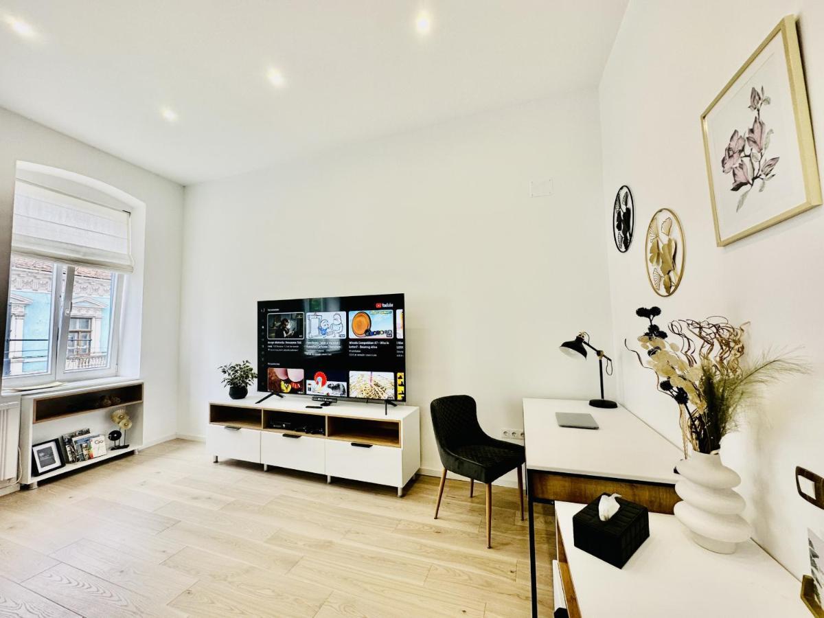 Clever Studio Near Central Shopping Center 克卢日-纳波卡 外观 照片