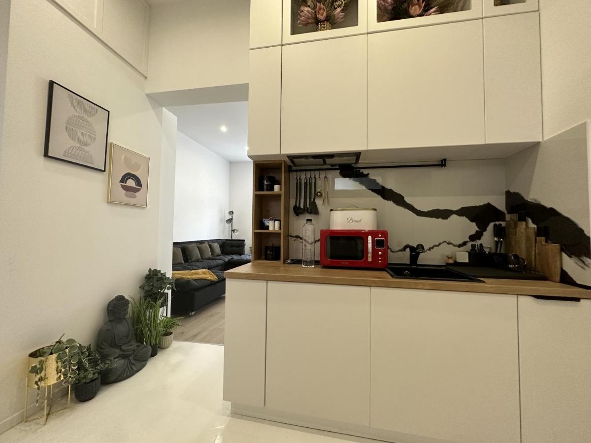 Clever Studio Near Central Shopping Center 克卢日-纳波卡 外观 照片
